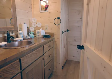 Cabin bathroom
